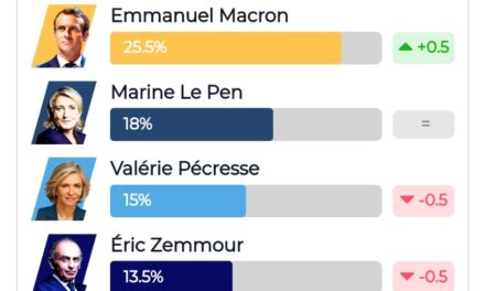 Présidentielle 2022 : les instituts de sondage réclament une meilleure utilisation de leurs enquêtes