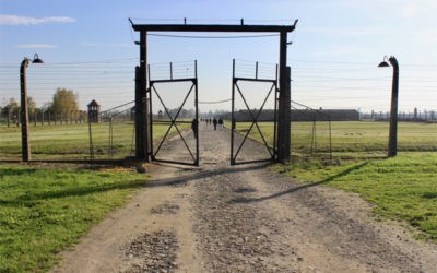 Auschwitz-Birkenau :
