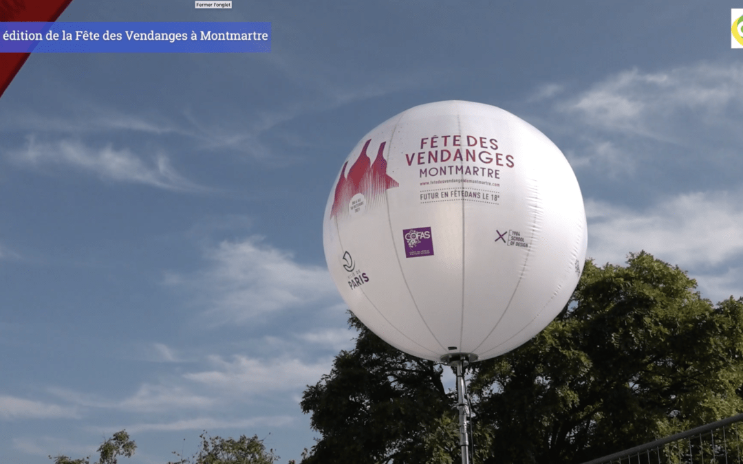 Les vendanges de montmartre