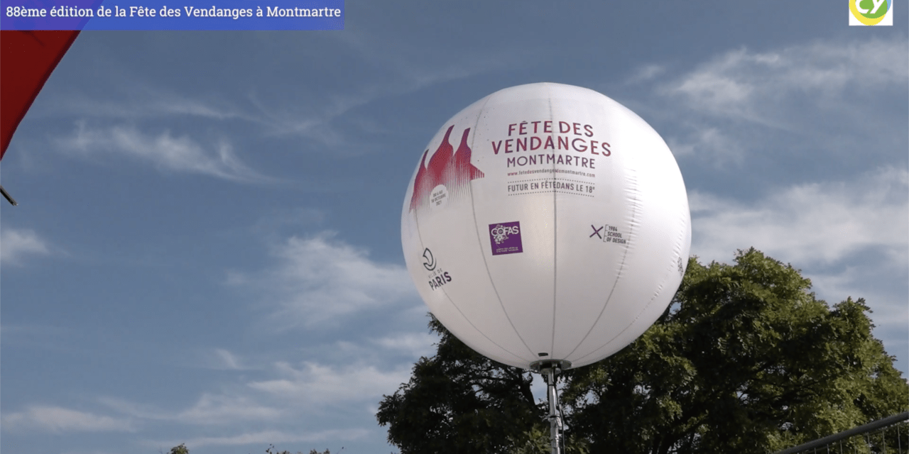 Les vendanges de montmartre