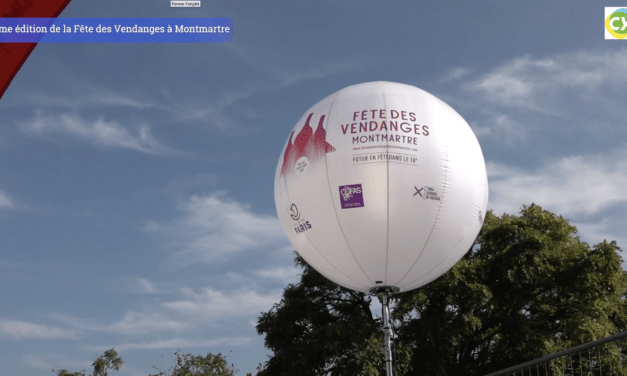 Les vendanges de montmartre