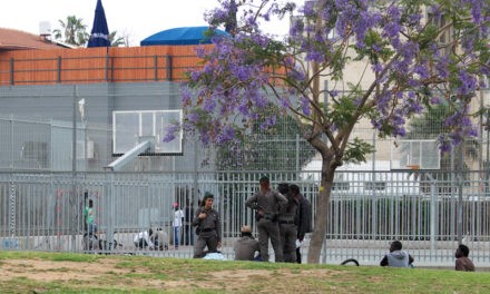 Tel-Aviv , ville communautaire