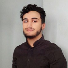 Dov Berrebi